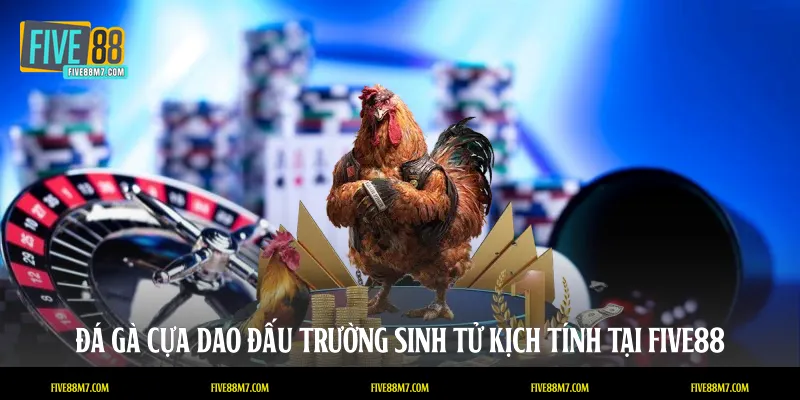 Đá gà cựa dao